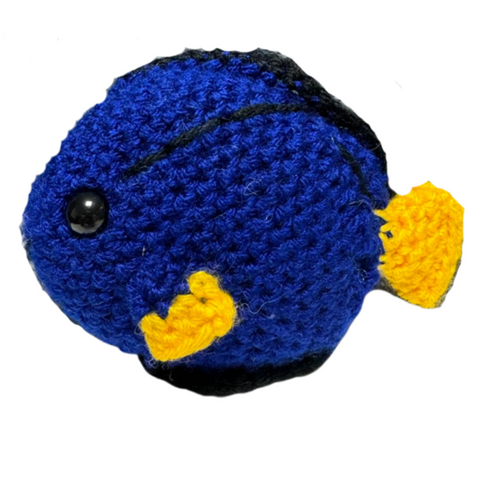 Blue Tang Fish