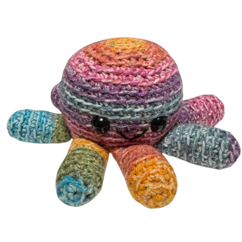 Rainbow Octopus